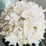 Gardenia Bouquet